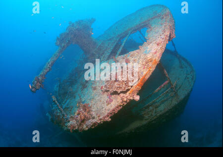 Rotes Meer, Ägypten. 15. Oktober 2014. Pistole auf das Heck des Schiffbruchs '' SS Thistlegorm''. Rotes Meer, Ägypten, Afrika © Andrey Nekrassow/ZUMA Wire/ZUMAPRESS.com/Alamy Live-Nachrichten Stockfoto