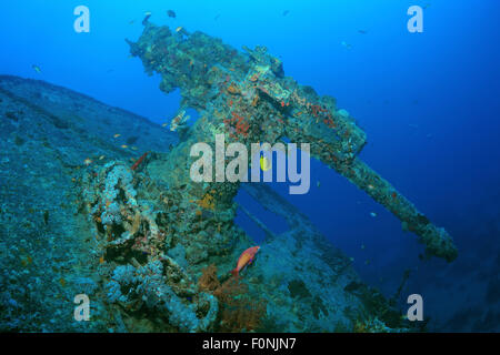 15. Oktober 2014 - Rotes Meer, Ägypten - Flak auf dem Heck des Schiffbruchs '' SS Thistlegorm''. Rotes Meer, Ägypten, Afrika (Credit-Bild: © Andrey Nekrassow/ZUMA Wire/ZUMAPRESS.com) Stockfoto