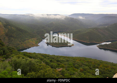 Rio Tajo (Fluss Tajo) betrachtet von der Ermita y Castillo de Monfrague (Monfrague Einsiedelei und Schloss). Stockfoto