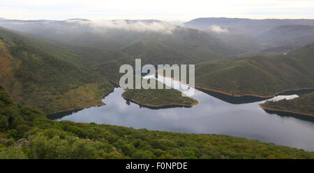 Rio Tajo (Fluss Tajo) betrachtet von der Ermita y Castillo de Monfrague (Monfrague Einsiedelei und Schloss). Stockfoto