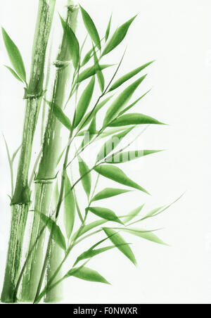 Junge grüne Bambus original Aquarell. Asiatischen Stil. Stockfoto