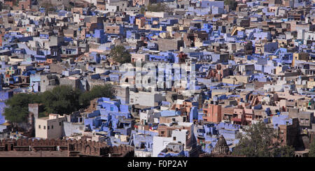 Die blaue Stadt Jodhpur. Das Gemälde Häuser blau wurde vor Jahrhunderten von der Priesterkaste gegründet und ist heute weit verbreitet Stockfoto