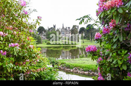 Alton Towers verfallenes Haus auf dem Estate Theme Park Gärten Staffordshire England UK betrachtet durch Rhododendren Stockfoto