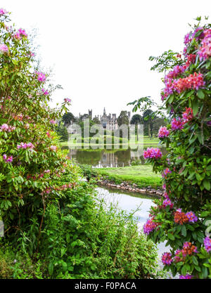 Alton Towers verfallenes Haus auf dem Estate Theme Park Gärten Staffordshire England UK betrachtet durch Rhododendren Stockfoto