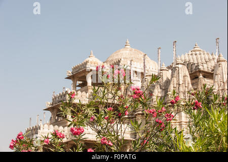 Indien; Straße von Udaipur, Jodhpur. Ranakpur Jain-Tempel und rosa Oleander Blüten. Stockfoto