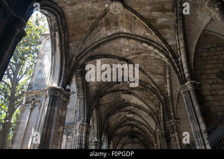 Klöster in der Kathedrale von Barcelona, Barri Gotic, Katalonien, Spanien Stockfoto