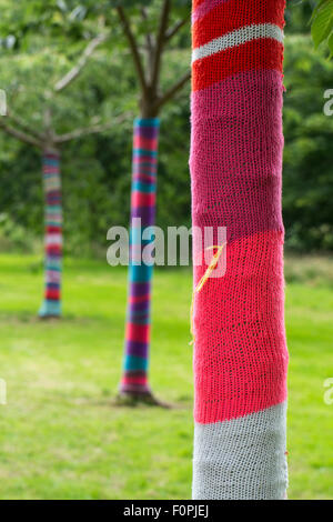 Dies ist ein Wollpullover über einen Baum im Blarney Castle in Irland. Stockfoto