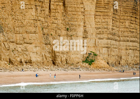 Die Klippen der "Jurassic Coast" im Osten von West Bay in der Nähe der Stadt Bridport, Dorset, England, UK. Stockfoto