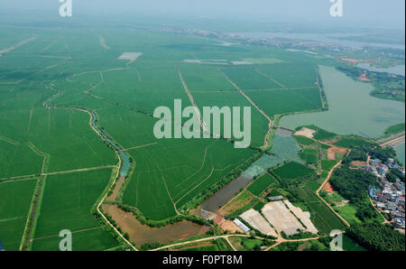 Poyang. 19. August 2015. Foto aufgenommen am 19. August 2015 zeigt eine Luftaufnahme eines Raums in der Nähe der Poyang See, Chinas größte Süßwassersee, in Poyang County, Osten Chinas Jiangxi Provinz. © Zhuo Zhongwei/Xinhua/Alamy Live-Nachrichten Stockfoto