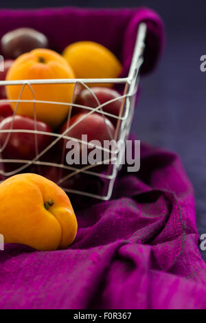 Aprikosen und Pflaumen in einen Drahtkorb mit drapierten lila Seide auf blauem Grund mit textfreiraum Seide. Selektiven Fokus. Stockfoto