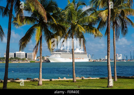 Kreuzfahrtschiff an Miami Stockfoto