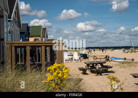 Schöne Aufnahme von einigen Strandhütten an einem britischen Südküste Strand an einem sonnigen Tag. Einige wilde Blumen wachsen im Vordergrund Stockfoto