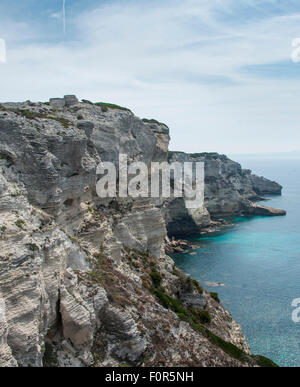 Steile Küste, Kreide Klippen, Bonifacio, Korsika, Frankreich Stockfoto