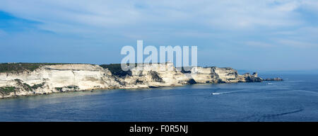 Steile Küste, Kreide Klippen, Bonifacio, Korsika, Frankreich Stockfoto