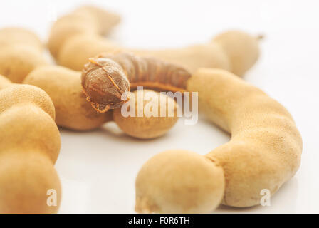 Tamarind isoliert auf einem weißen Hintergrund, selektiven Fokus Stockfoto