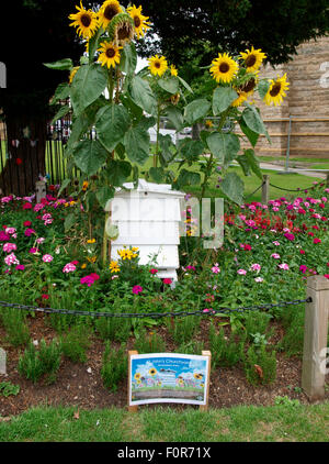 Blumen gepflanzt, die Bienen an St. Johannis Kirche, Yeovil, Somerset, UK zu helfen Stockfoto