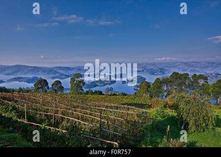 Landschaft des Lake Bunyonyi, Uganda, Afrika Stockfoto