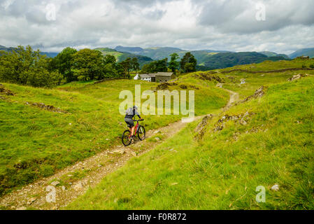 Weibliche Mountainbiker in der Nähe von Low Arnside im Lake District mit Langdale Pikes auf die skyline Stockfoto