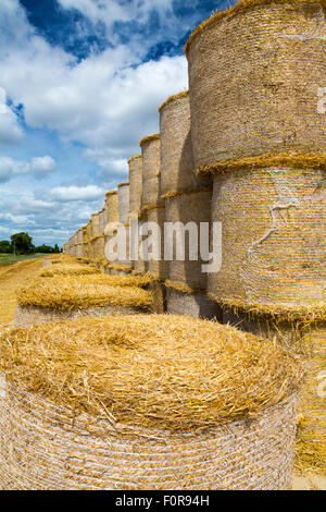 Heuballen, Charente Maritime, Süd-west Frankreich Stockfoto