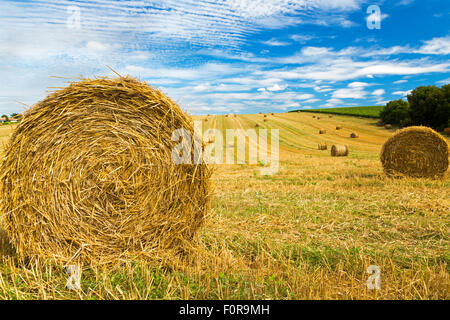 Heuballen, Charente Maritime, Süd-west Frankreich Stockfoto