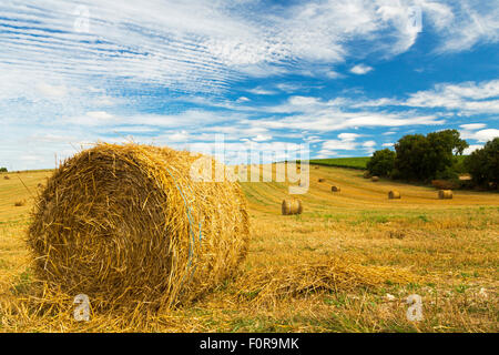 Heuballen, Charente Maritime, Süd-west Frankreich Stockfoto