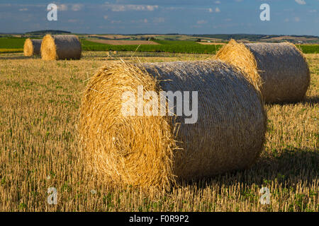 Heuballen, Charente Maritime, Süd-west Frankreich Stockfoto