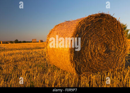 Heuballen, Charente Maritime, Süd-west Frankreich Stockfoto