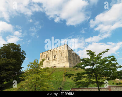 Norwich Schloss in Norfolk, England, Vereinigtes Königreich Stockfoto