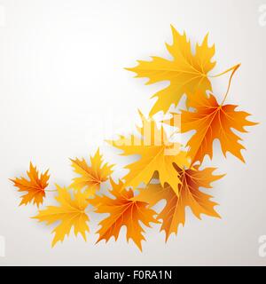 Herbst-Ahorn Blätter Hintergrund fallen. Stock Vektor
