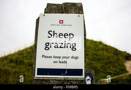 Schafbeweidung Zeichen Beratung Hundebesitzer ihre Hunde an der Leine in der englischen Landschaft zu halten. Stockfoto