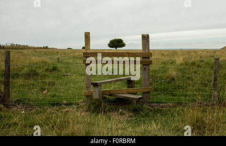 Stil in einem Feld mit einem einsamen Baum in der Mitte perfekt positioniert. Wiltshire, UK. Stockfoto