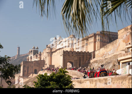 Jaipur, Indien. Das Amber Fort. Elefanten reiten. Stockfoto