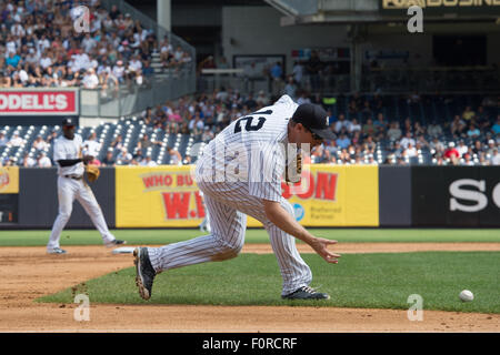 New York, New York, USA. 19. August 2015. Yankees' CHASE HEADLEY Felder den Ball ein Hit von Zwillinge AARON HICKS im 6. Inning, New York Yankees vs. Minnesota Twins, Yankee Stadium, Mittwoch, 19. August 2015. © Bryan Smith/ZUMA Draht/Alamy Live-Nachrichten Stockfoto