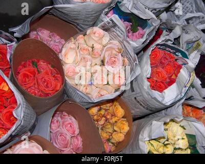 Rosen in Zeitungen am Blumenmarkt vergewaltigt Stockfoto