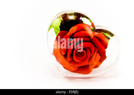 Red Rose in Transparen Herz aus Glas isoliert auf weiss Stockfoto