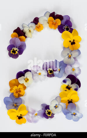 Brief eines Alphabets, hergestellt aus Stiefmütterchen Blüten isoliert auf weißem Hintergrund Stockfoto