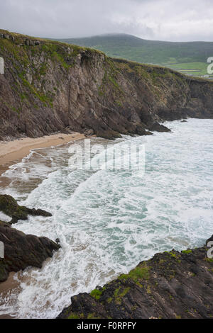 Coumeenoole Strand auf dem Slea Head-Laufwerk auf der Dingle Halbinsel, Irland Stockfoto