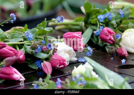 Schneiden Sie Tulpen Strauß im Garten, machen die Niederlande Stockfoto