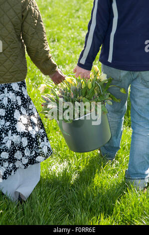 Menschen tragen gelbe Tulpen in Eimern in Grünland Stockfoto