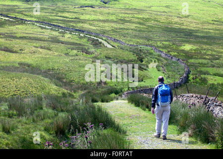 Walker auf einer Maultierweg in nachbarschaftlich Gill in Dentdale Yorkshire Dales Cumbria England Stockfoto