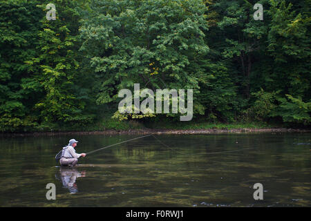 Mann Angeln für europäische Äsche (Thymallus Thymallus) in den Fluss San, Myczkowce, Polen, September 2011 Modell veröffentlicht Stockfoto