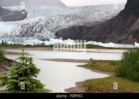 Mendenhall-Gletscher-Nationalpark in Alaska Juneau Stockfoto