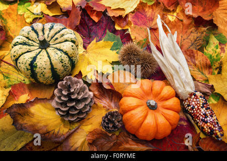 Herbst Dekoration arrangiert mit natürlichen Elementen, wie z. B. bunte trockene Blätter, dekorative Kürbisse und Zapfen Stockfoto
