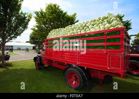 Southport, Merseyside, England. 20. August 2015. Großbritanniens größte unabhängige Blumenschau, feiert mit einem Karneval-wie Feier aller Dinge Chinesisch. Orientalischen Themen-Events, Unterhaltung, Essen und floralen Festzelte werden alle chinesische Kultur und Design inspirieren. Bildnachweis: Cernan Elias/Alamy Live-Nachrichten. Stockfoto