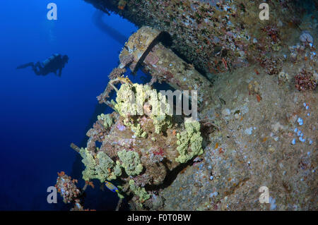 Rotes Meer, Ägypten. 15. Oktober 2014. Taucher am Wreckship Gianis D. Rotes Meer, Sharm El Sheikh, Ägypten © Andrey Nekrassow/ZUMA Wire/ZUMAPRESS.com/Alamy Live-Nachrichten Stockfoto