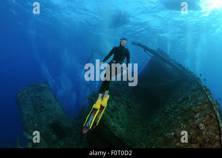 Rotes Meer, Ägypten. 15. Oktober 2014. Freediver taucht auf Wreckship Gianis D. Rotes Meer, Sharm El Sheikh, Egyp © Andrey Nekrassow/ZUMA Wire/ZUMAPRESS.com/Alamy Live-Nachrichten Stockfoto