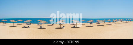 Luftaufnahme über einem tropischen Strand mit Reihen von Sonnenschirmen Stockfoto