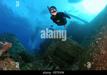 Rotes Meer, Ägypten. 15. Oktober 2014. Freediver taucht auf Wreckship Gianis D. Rotes Meer, Sharm El Sheikh, Egyp © Andrey Nekrassow/ZUMA Wire/ZUMAPRESS.com/Alamy Live-Nachrichten Stockfoto