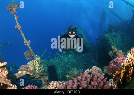 Rotes Meer, Ägypten. 15. Oktober 2014. Freediver taucht auf Wreckship Gianis D. Rotes Meer, Sharm El Sheikh, Egyp © Andrey Nekrassow/ZUMA Wire/ZUMAPRESS.com/Alamy Live-Nachrichten Stockfoto