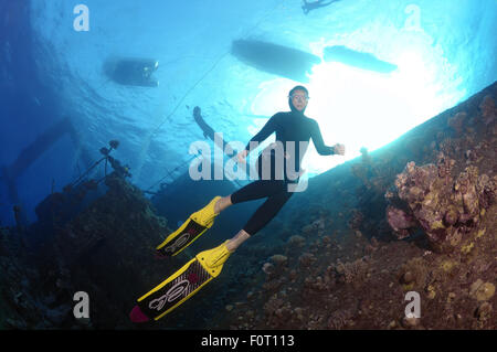 Rotes Meer, Ägypten. 15. Oktober 2014. Freediver taucht auf Wreckship Gianis D. Rotes Meer, Sharm El Sheikh, Egyp © Andrey Nekrassow/ZUMA Wire/ZUMAPRESS.com/Alamy Live-Nachrichten Stockfoto